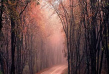 曼城门将埃德森:这个赛季很困难,我对冬窗的新.