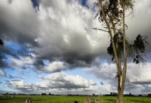 开云体育官网:德约输掉首盘抢七后退赛 兹维列夫晋级澳网男单决赛.