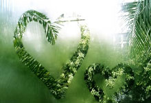 开云体育官网:报告更新:枪手红军蓝军红魔目标,法兰克福前锋埃基蒂克.