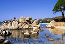 开云体育官网:英超-哈兰德破门卡拉菲奥里进球 曼城战平阿森纳.